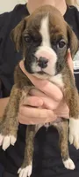 Photo of Tara