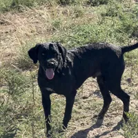 processed/31f6a471-db3e-474b-a7bc-368d38ae0b28/facility/4e4e39f8-7688-44e1-b680-63b14dc7735a