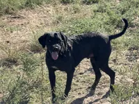 processed/31f6a471-db3e-474b-a7bc-368d38ae0b28/facility/4e4e39f8-7688-44e1-b680-63b14dc7735a