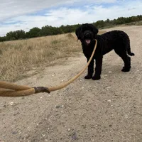 processed/31f6a471-db3e-474b-a7bc-368d38ae0b28/facility/63fe38bf-82a0-443e-9e6e-94f3c92bb636