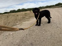 processed/31f6a471-db3e-474b-a7bc-368d38ae0b28/facility/63fe38bf-82a0-443e-9e6e-94f3c92bb636