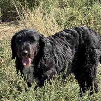 processed/31f6a471-db3e-474b-a7bc-368d38ae0b28/facility/7c9b8738-3751-4518-929a-7b4ee1e0348c