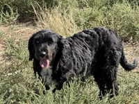 processed/31f6a471-db3e-474b-a7bc-368d38ae0b28/facility/7c9b8738-3751-4518-929a-7b4ee1e0348c