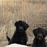 processed/31f6a471-db3e-474b-a7bc-368d38ae0b28/facility/a2da97dc-61bc-4c0a-97b0-e5fdce95c173