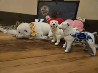 Boy 4, a male Central Asian Shepherd for sale in New Baltimore, MI – Photo 3 of 7