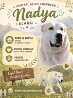 Girl2, a  Central Asian Shepherd for sale in New Baltimore, MI – 4 of 7