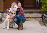 Fall litters, a female Central Asian Shepherd for sale in New Baltimore, MI – Photo 7 of 10