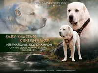 processed/31f7b146-336f-41a5-8a58-8f217496b380/listing/f3084bd5-e812-4897-9699-ba0cc44c8087/0764f9b6-66ea-48d7-9dea-50b0c2761353