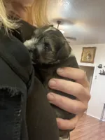 processed/31fa9100-1f84-48fe-808f-0b517109a58b/listing/96221b20-e25d-4904-82ed-deb945f2ab7d/0a772b60-89e8-48aa-8d72-f384675d0dec