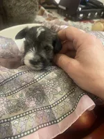 processed/31fa9100-1f84-48fe-808f-0b517109a58b/listing/96221b20-e25d-4904-82ed-deb945f2ab7d/4a5fd097-e2c6-4b36-802a-d3e6b4d479d3