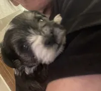 processed/31fa9100-1f84-48fe-808f-0b517109a58b/listing/96221b20-e25d-4904-82ed-deb945f2ab7d/b888c492-4ea6-4ff1-90fc-5eafd420435b