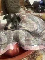 processed/31fa9100-1f84-48fe-808f-0b517109a58b/listing/96221b20-e25d-4904-82ed-deb945f2ab7d/bb3e17a8-83f6-403d-b085-afd396785e1b