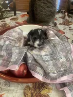 processed/31fa9100-1f84-48fe-808f-0b517109a58b/listing/96221b20-e25d-4904-82ed-deb945f2ab7d/d922db0a-9293-4f18-9e16-5c063c83df06