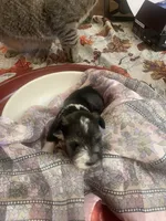 processed/31fa9100-1f84-48fe-808f-0b517109a58b/listing/96221b20-e25d-4904-82ed-deb945f2ab7d/fb22754b-d7c6-4998-b7ab-2237f94da4d0