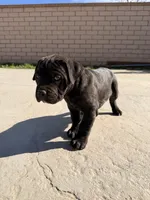 processed/32136e1e-4306-4f87-b707-5580941040a7/listing/7e619d04-30a9-4bba-b493-fb255eeefc45/2d80c249-1588-4615-b492-eccebc7e06a7