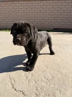 processed/32136e1e-4306-4f87-b707-5580941040a7/listing/7e619d04-30a9-4bba-b493-fb255eeefc45/dfb6267d-cc5d-472d-a3de-7b6755cb7b91