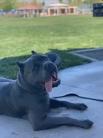 processed/32136e1e-4306-4f87-b707-5580941040a7/listing/a18e6734-a0fa-47d3-b0f3-d41d601cbbb4/3ad71c1c-a8b4-429a-b125-4ada4edb3f25