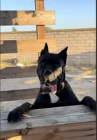 processed/32136e1e-4306-4f87-b707-5580941040a7/listing/a18e6734-a0fa-47d3-b0f3-d41d601cbbb4/7629e2d2-0612-465a-81df-d1c9a78c884a