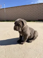 processed/32136e1e-4306-4f87-b707-5580941040a7/listing/d0c5cd86-2fef-48b7-9567-bace7291ebc8/e9cae707-1aa3-4b56-b3d5-147187dfbcaa