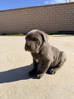 processed/32136e1e-4306-4f87-b707-5580941040a7/listing/d0c5cd86-2fef-48b7-9567-bace7291ebc8/f83a3d0f-ccfb-47af-b4ac-1e3d932bbe53