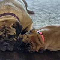 Facility photo