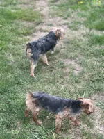 processed/3227534f-3b3a-4d44-9eb1-36b612ee6339/facility/301b8985-7325-4fe4-a4d3-08158caec6b9