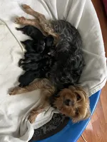 processed/3227534f-3b3a-4d44-9eb1-36b612ee6339/facility/c3307e2e-c26c-488c-86b3-20f476dd1d0c