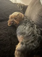 processed/3227534f-3b3a-4d44-9eb1-36b612ee6339/facility/dd4745fc-2cd8-48f2-9e5a-6ee9a4ce8525