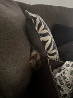 processed/3227534f-3b3a-4d44-9eb1-36b612ee6339/facility/e5e9985f-1eec-4bf6-8b64-049c0668ee47