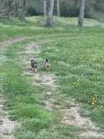 processed/3227534f-3b3a-4d44-9eb1-36b612ee6339/facility/eaa78e16-df2f-47de-9490-09932c9f1b38