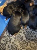 processed/3227534f-3b3a-4d44-9eb1-36b612ee6339/facility/fd0f124d-7dcb-48b1-a444-bf25fb8e835f