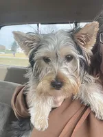 processed/3227534f-3b3a-4d44-9eb1-36b612ee6339/listing/2db38d4a-dbb0-414b-aba0-e7f7c996a6c3/0e1238f3-ef0d-4382-b50e-568eda9860bd