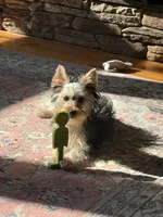 processed/3227534f-3b3a-4d44-9eb1-36b612ee6339/listing/2db38d4a-dbb0-414b-aba0-e7f7c996a6c3/1f6d8b05-57bd-4002-aa24-d39e6cba9942