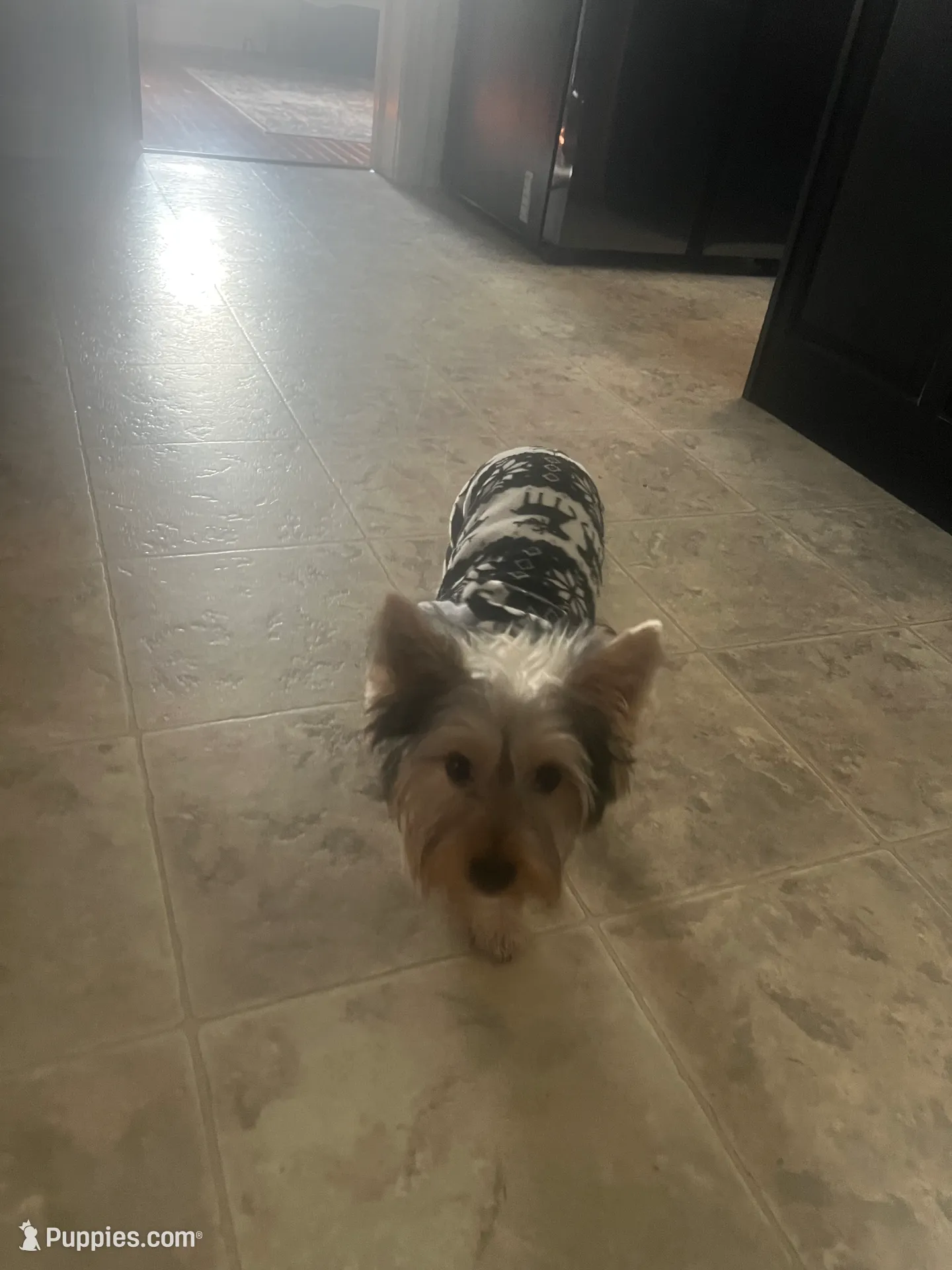 processed/3227534f-3b3a-4d44-9eb1-36b612ee6339/listing/2db38d4a-dbb0-414b-aba0-e7f7c996a6c3/662d2c1a-725b-47f7-a3d3-1780e6a11762