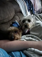 processed/3227534f-3b3a-4d44-9eb1-36b612ee6339/listing/2db38d4a-dbb0-414b-aba0-e7f7c996a6c3/c276926d-b093-4c20-8d91-ed89b0844f59