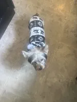 processed/3227534f-3b3a-4d44-9eb1-36b612ee6339/listing/2db38d4a-dbb0-414b-aba0-e7f7c996a6c3/d7efa2d1-0108-4c06-befd-d995a02ece1c