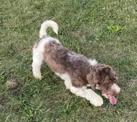 processed/322d0300-5033-4ae9-b414-c8def2a821f1/listing/29b7b89a-8688-48ee-81e6-36b06cf14546/41ef5e70-d9ef-4066-a4c9-400d0b26f702