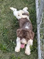 processed/322d0300-5033-4ae9-b414-c8def2a821f1/listing/29b7b89a-8688-48ee-81e6-36b06cf14546/d1ab8266-616e-415f-bc23-146e0cbeec0b