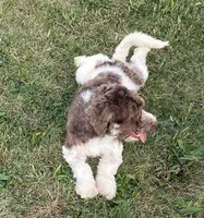 processed/322d0300-5033-4ae9-b414-c8def2a821f1/listing/29b7b89a-8688-48ee-81e6-36b06cf14546/e3777142-9aa1-4869-890e-91ca9ca2a7f2