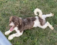 processed/322d0300-5033-4ae9-b414-c8def2a821f1/listing/29b7b89a-8688-48ee-81e6-36b06cf14546/fb6952b9-fb51-41a1-b154-23c0453f7b58