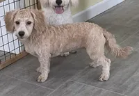 processed/322d0300-5033-4ae9-b414-c8def2a821f1/listing/4772a7d7-6af1-4063-a508-eb2415ff74b3/10132c5e-58e4-4811-b50c-cbc17514bf34