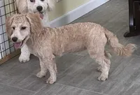 processed/322d0300-5033-4ae9-b414-c8def2a821f1/listing/4772a7d7-6af1-4063-a508-eb2415ff74b3/28ac03fb-80b4-438c-ba2f-9628b800f519