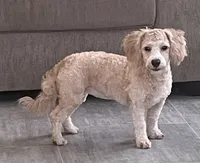 processed/322d0300-5033-4ae9-b414-c8def2a821f1/listing/4772a7d7-6af1-4063-a508-eb2415ff74b3/432bfa38-4fc6-4420-8371-66a16f36fedf