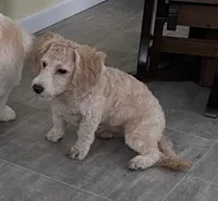 processed/322d0300-5033-4ae9-b414-c8def2a821f1/listing/4772a7d7-6af1-4063-a508-eb2415ff74b3/fcc3c67b-70c9-43af-84cb-7f63f1f1e72c