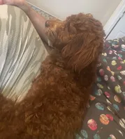 processed/322d0300-5033-4ae9-b414-c8def2a821f1/listing/5d560ff2-a862-465c-a550-9618209eb2e9/0404ad7e-0982-4d49-bc31-ebd705ca8830