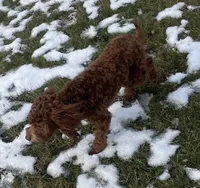 processed/322d0300-5033-4ae9-b414-c8def2a821f1/listing/5d560ff2-a862-465c-a550-9618209eb2e9/0ee86f31-969d-4513-97b8-47db7cd1ff67