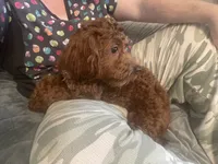 processed/322d0300-5033-4ae9-b414-c8def2a821f1/listing/5d560ff2-a862-465c-a550-9618209eb2e9/211052f4-0676-4ae3-acd0-0f3580084034