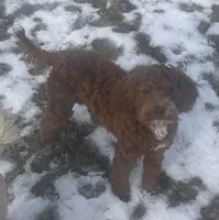 processed/322d0300-5033-4ae9-b414-c8def2a821f1/listing/5d560ff2-a862-465c-a550-9618209eb2e9/3e77ec40-3f86-4b3c-8a85-131cfab91d43