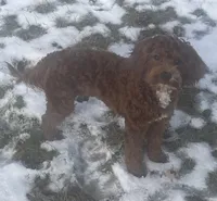 processed/322d0300-5033-4ae9-b414-c8def2a821f1/listing/5d560ff2-a862-465c-a550-9618209eb2e9/822470c5-dca1-40bf-a7e0-d882428c2322