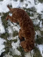 processed/322d0300-5033-4ae9-b414-c8def2a821f1/listing/5d560ff2-a862-465c-a550-9618209eb2e9/b1c8a02e-70ac-4c50-a778-d8e7fa131f61